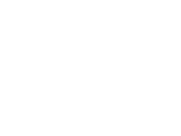 Niton-Tactical-logo